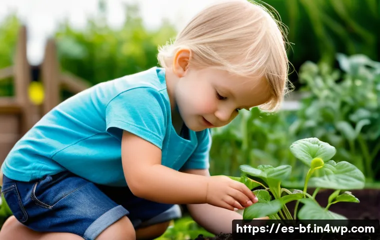 커뮤니티 가든의 프랜차이즈 모델 관련 이미지 2